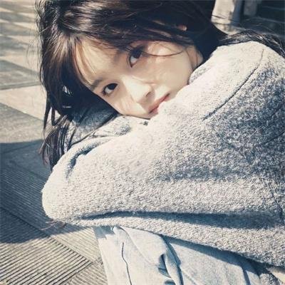 轰炸达尔文：尴尬的真相